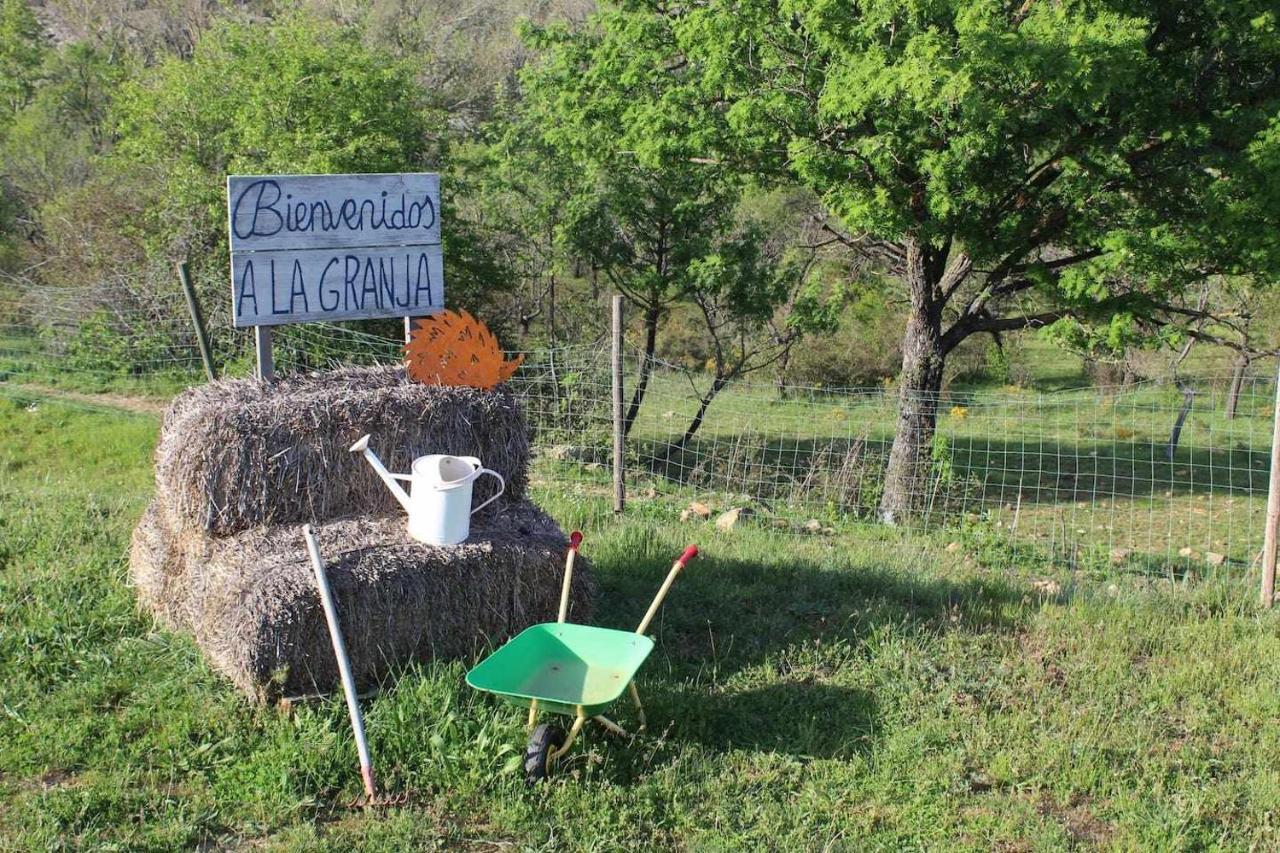 Casa El Tio Carrascon Alojamiento Rural Cerveruela Buitenkant foto
